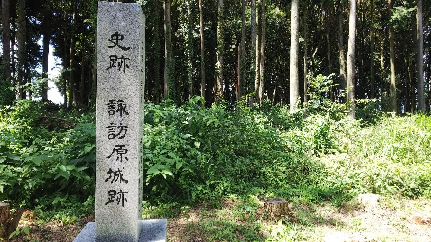 o͓̓ʂA{ۂŌɖK铹ŁAU߂܂傤I