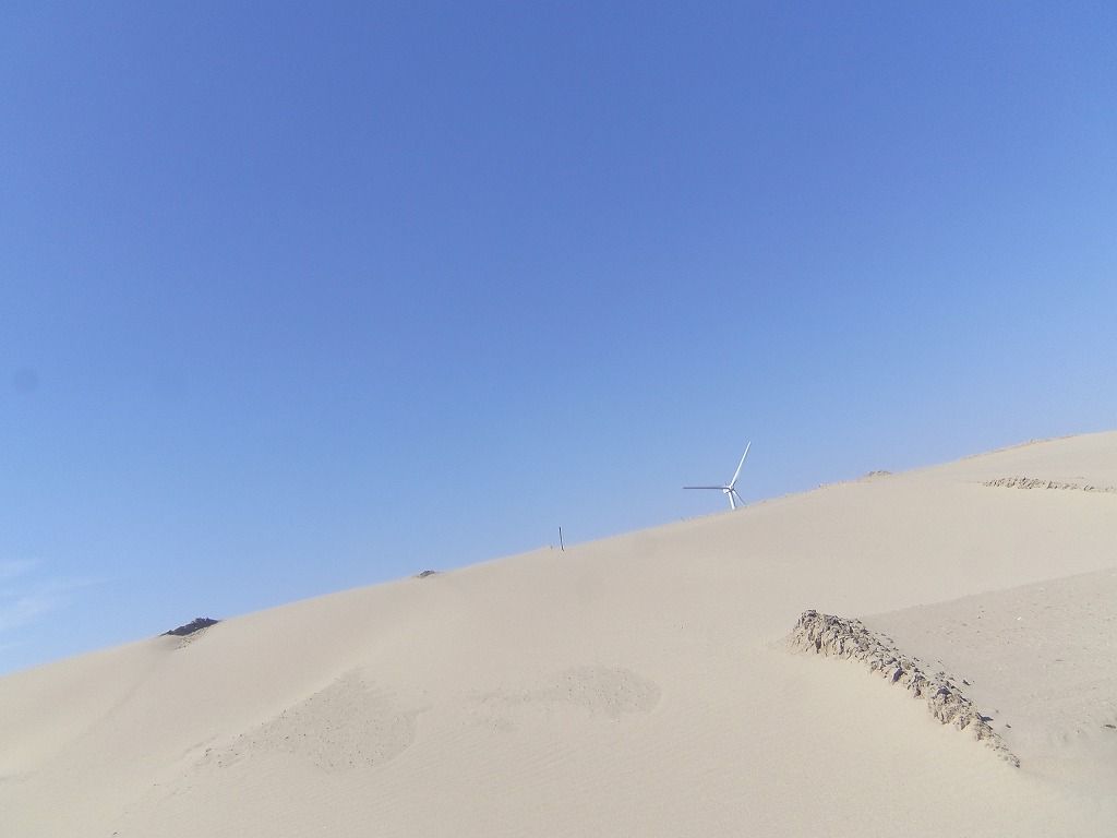 風と砂が生み出した浜岡砂丘に上ってみよう
