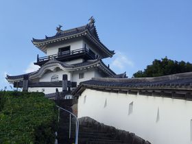 {I{iؑVEÉu|v͓C̔vՂ̋LTlC