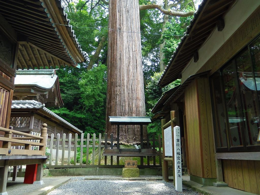 静岡県・掛川市の観光スポット7選！アート・自然・歴史を楽しむ