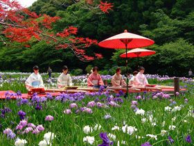 Cw100{̉ԏҊIu͂܂܂t[p[Nv̋LTlC