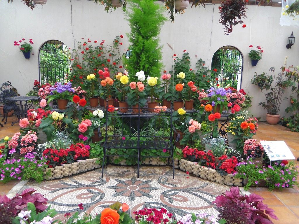 ͂܂܂t[p[Nu[Y\tgN[v