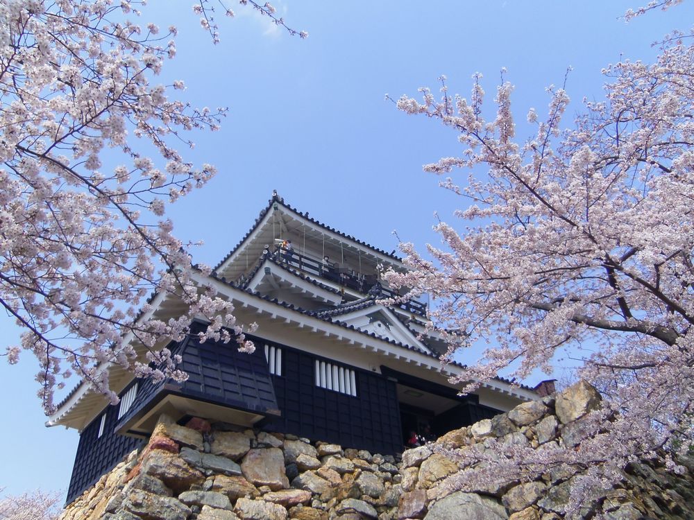 �l���s�́u�o���喼�ƍN����o���}���z�[���̊W�v