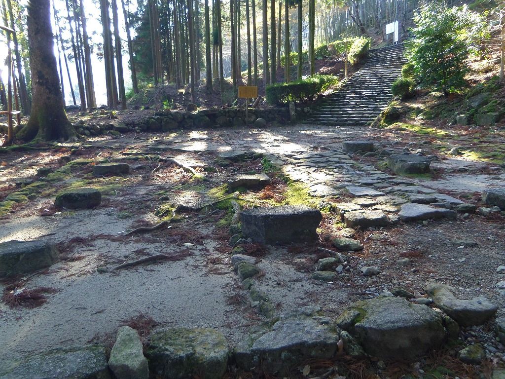 Ђ_ЎQ܂ł͒ӘHiȂւj