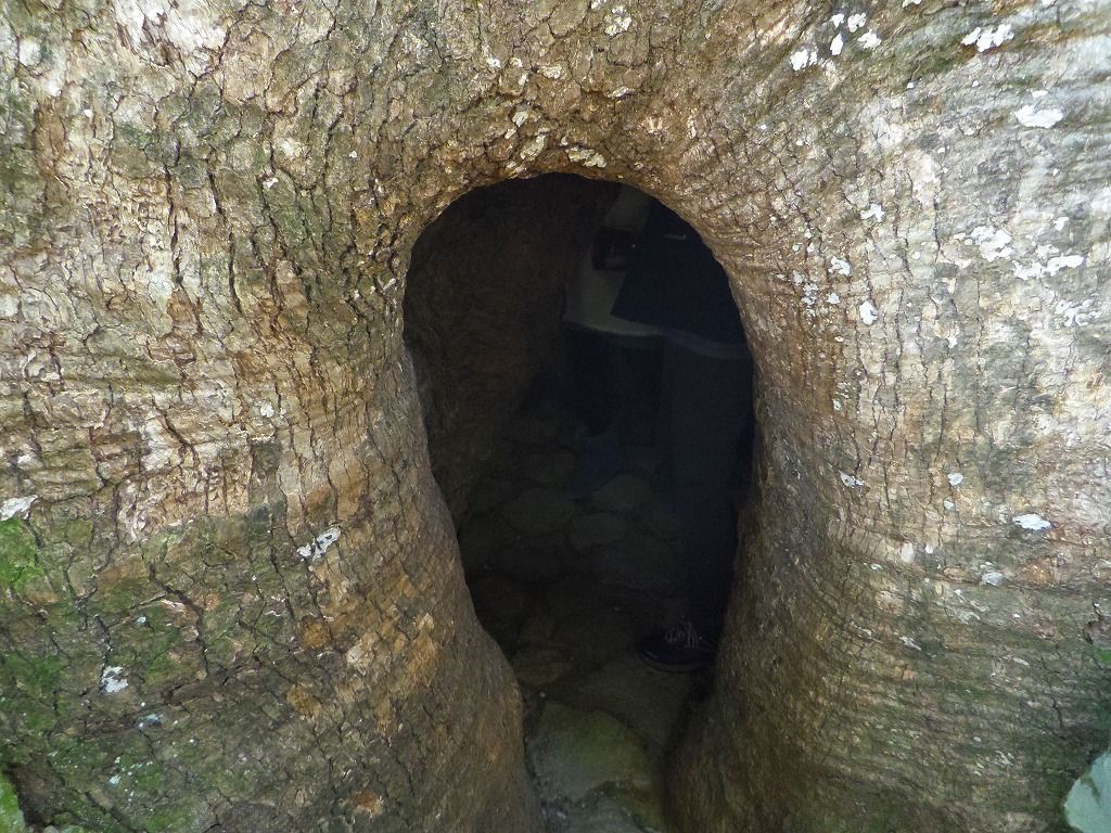 ٓ߂肪łNXmLuЁi傤ꂢjv