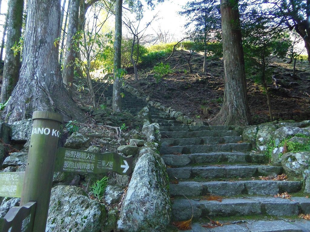 Ђ_ЎQ܂ł͒ӘHiȂւj