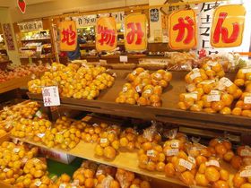 l΂̐VN؂ԁIluc{ʎsv͋C֏ׂ̋LTlC