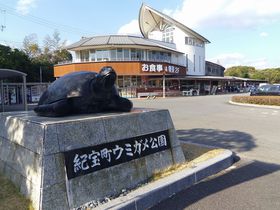 三重・道の駅「紀宝町ウミガメ公園」でウミガメを見よう！
