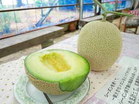 Á`ʎHIlu܃n[xXgvŃ̋LTlC