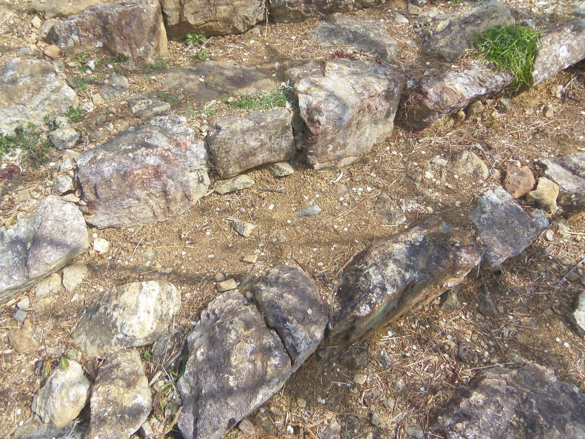 �~�̌������Ɍ�����͉��l���΁I