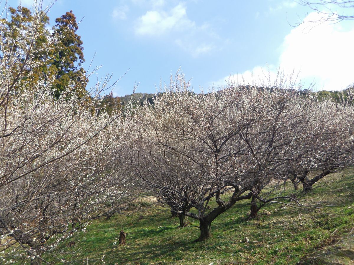 �~�~�͒Í����y���߂钓�ԏ�