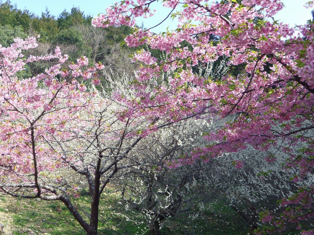 �~�~�͒Í����y���߂钓�ԏ�