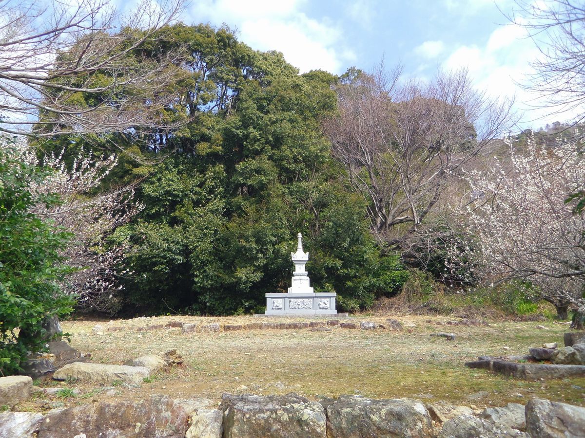 �~�̌������Ɍ�����͉��l���΁I