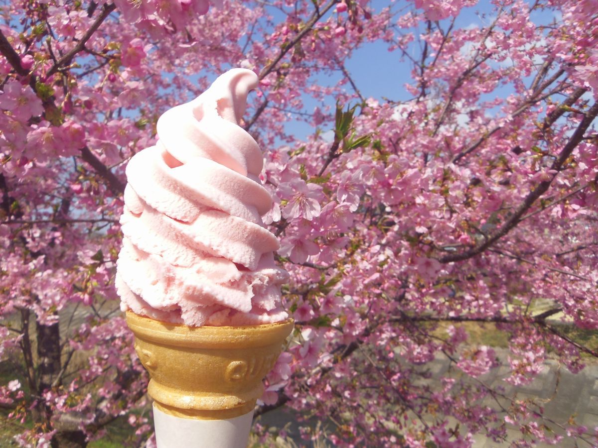 ������܂���Ԓ��͏o�X����