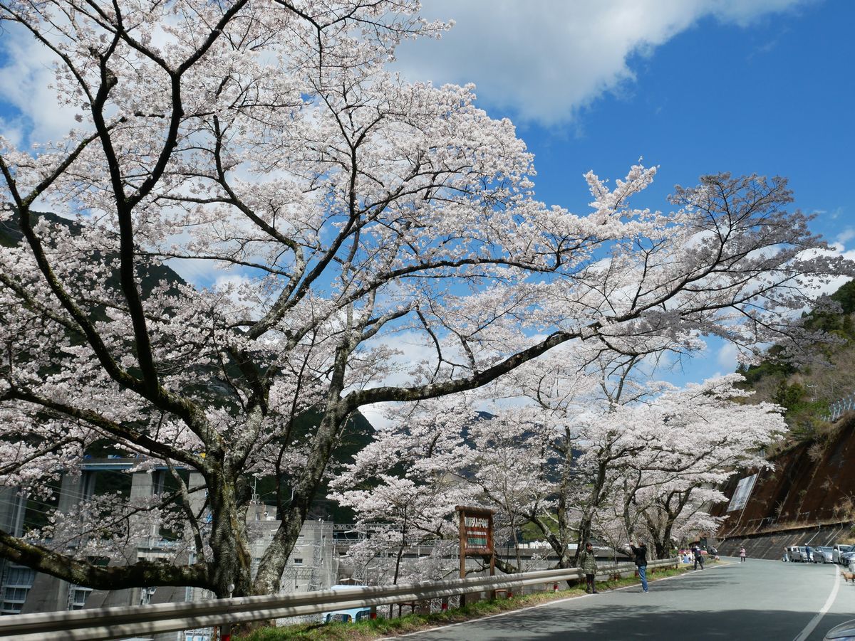 �J�Ԏ����ɂ́u������܂�v���J��