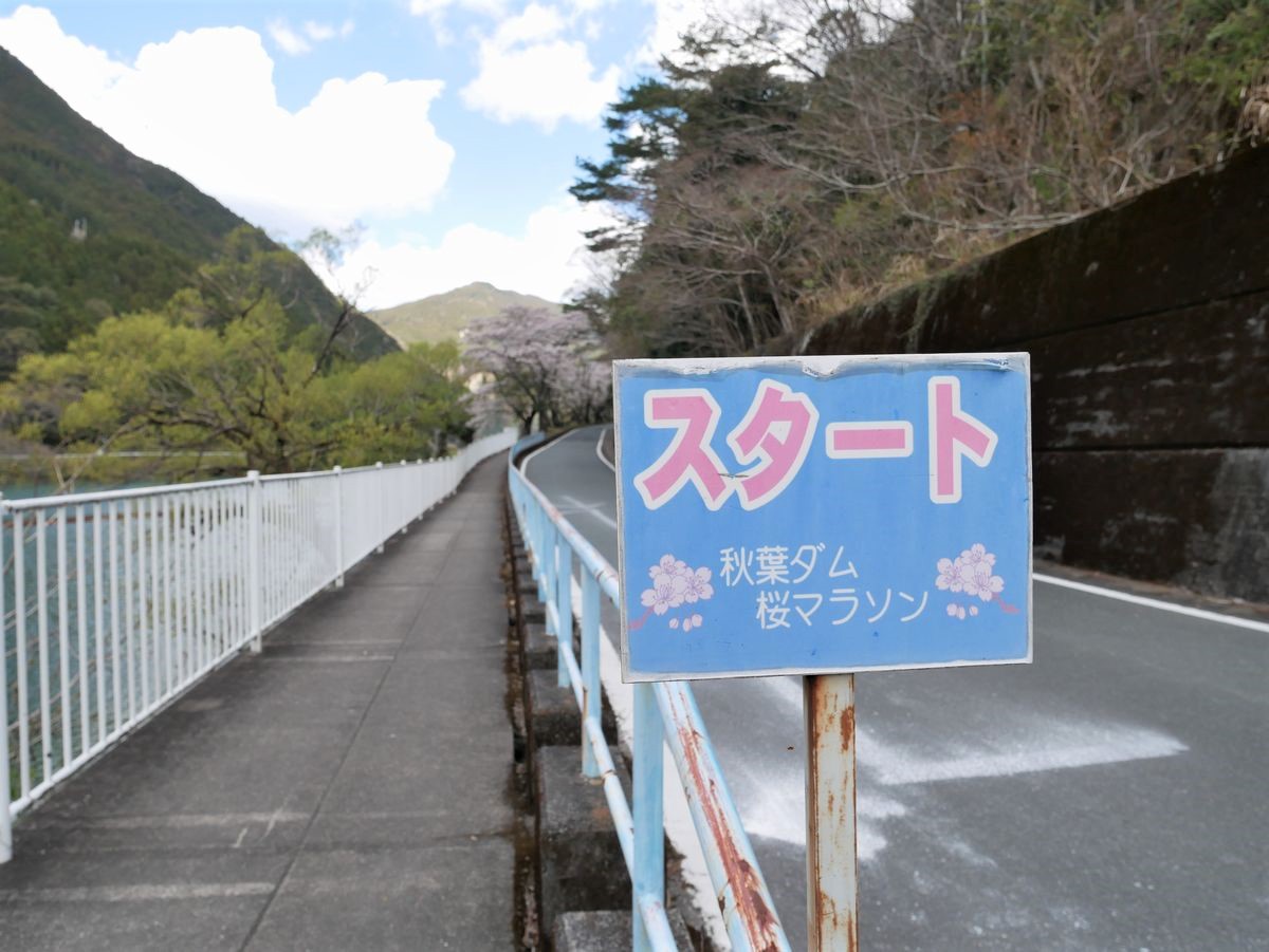 �J�Ԏ����ɂ́u������܂�v���J��