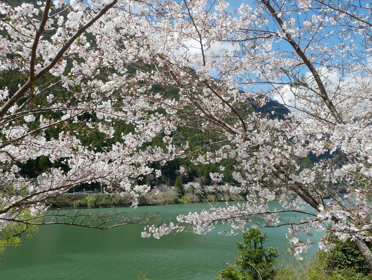 �_���̖k���̓h���C�u�ɍœK