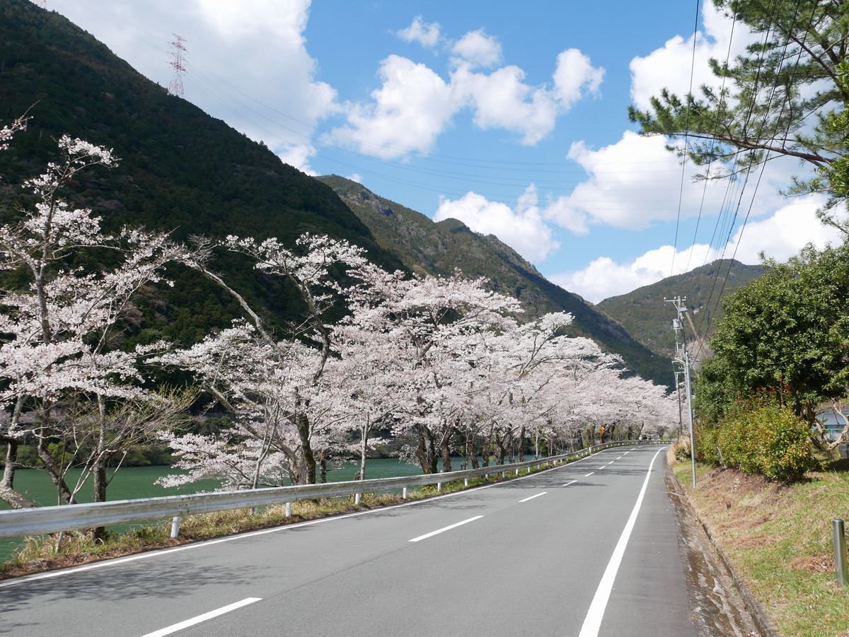 �_���̖k���̓h���C�u�ɍœK