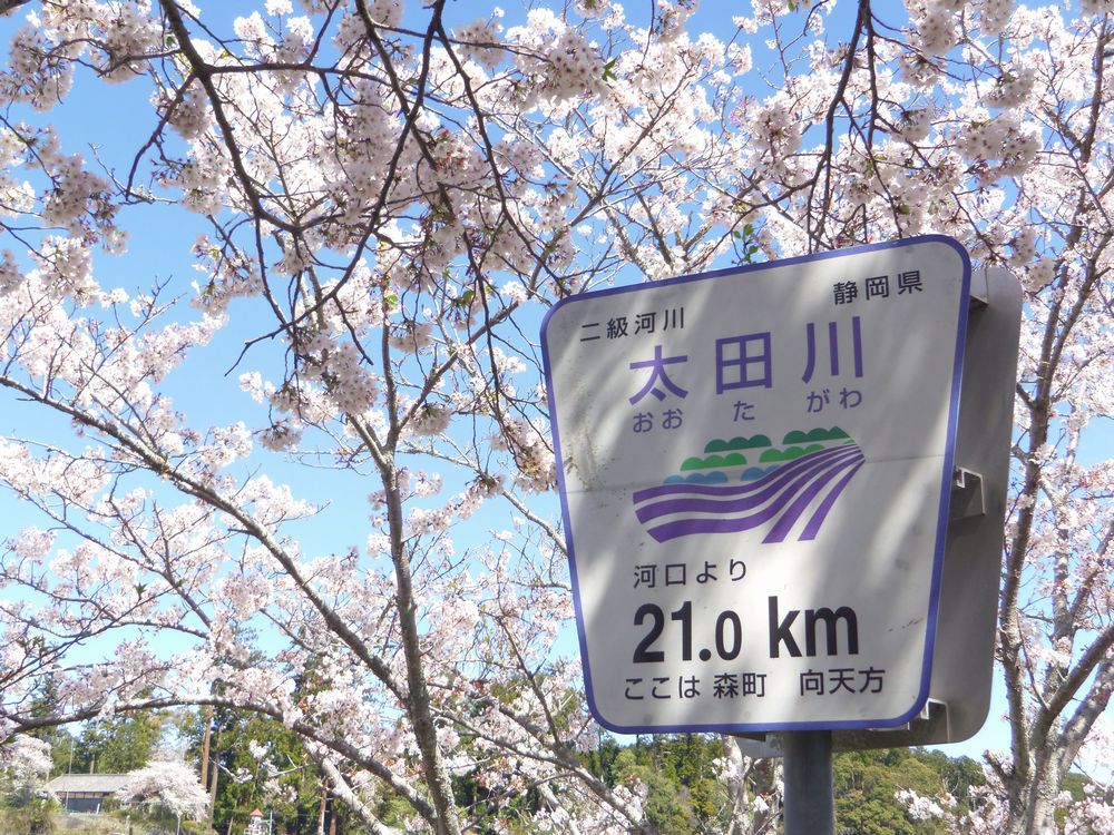 1,000{̃\CVmɕ܂鑾c