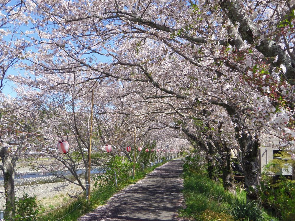 1,000{̃\CVmɕ܂鑾c