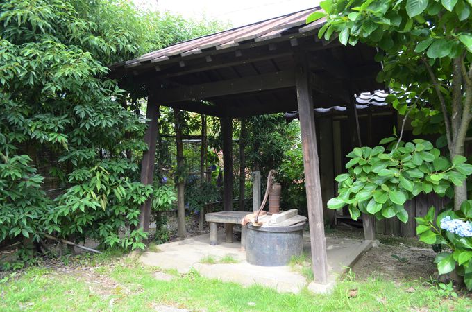 w̃vxwԂ̂ƓlxȂǂ̖삪a