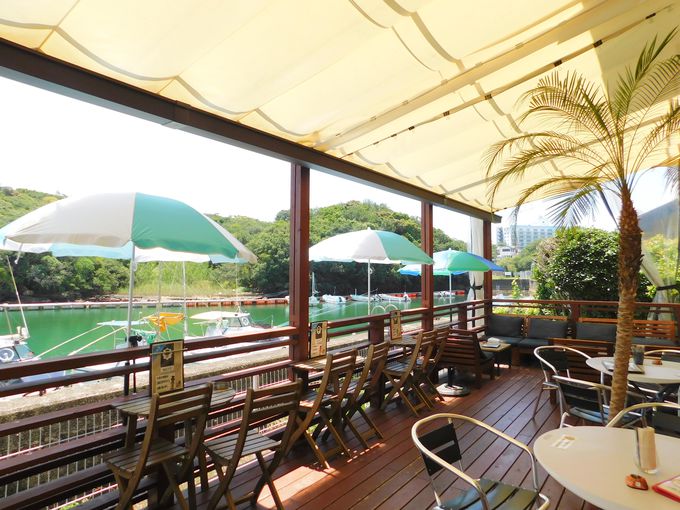 uKagerou Cafevɂ͊Cӂ̃eXI