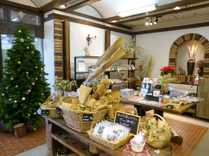 神戸布引ハーブ園 古城のクリスマス で花と光の聖夜を 兵庫県 Lineトラベルjp 旅行ガイド