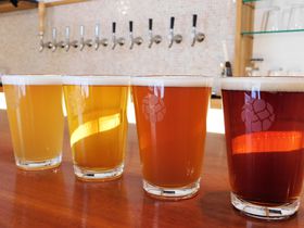 ޗǂ̒nr[ȂuȂ܂G[vIȂ甞Ȃ܂̋LTlC