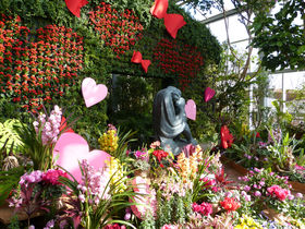 冬の花で癒されデートを。神戸布引ハーブ園バレンタインフェア2023