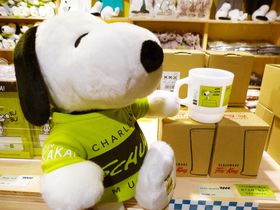 �n���[���I�X�k�[�s�[�~���[�W�A���W����O�b�Y�ƃR���{���j���[�͗v�`�F�b�N�̋L���T���l�C��