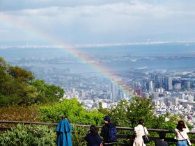 雨の日限定無料ツアーあり！神戸布引ハーブ園の梅雨の楽しみ方