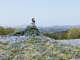 {ő勉̉ԔILEuFlower villageԖ̗v̋LTlC