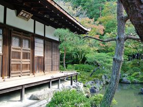 春と秋限定の特別拝観 京都・銀閣寺「東求堂」の凄さに迫る！