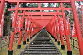 Âǂ{Ɨj̊IɁu͌ȓƌQv̋LTlC