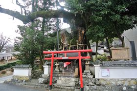 ̖͂j̊IɌuRscnv̋LTlC