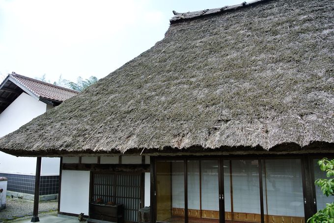 もののけ姫の世界観に浸れる 島根 菅谷たたら山内 島根県 Lineトラベルjp 旅行ガイド