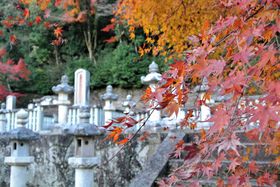 ���C�g�A�b�v�������g�t�����̕��I�H�u����ˎ�r�c�ƕ揊�v�̋L���T���l�C��