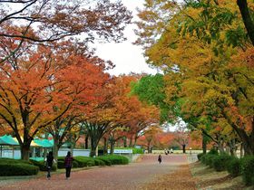 紅葉を存分に堪能！大阪の癒し自然スポット「万博記念公園」