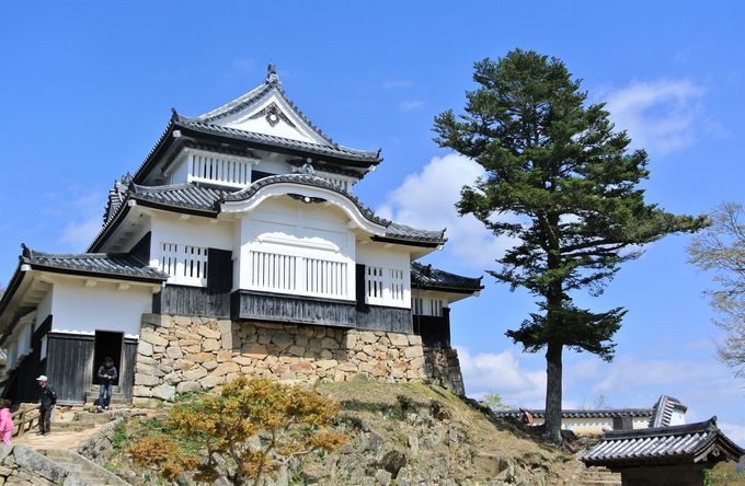 日本一高い地に現存する 雲海に浮かぶ備中松山城 岡山県高梁市
