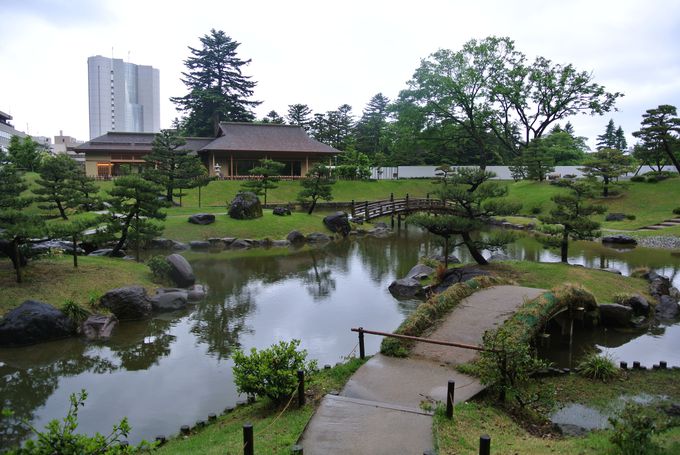 Ί_Ɨ΂̃}b`ʐ@ے뉀