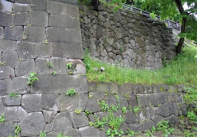 Ί_Ɨ΂̃}b`ʐ@ے뉀