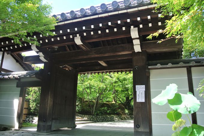 世界遺産の石庭は謎だらけ！京都「龍安寺」で禅の精神を体感！ | 京都