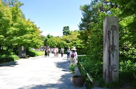 �P�����̔������Ɋ����I���s�u�����@�v�͍ĖK�K�{�̒�ԃX�|�b�g�̋L���T���l�C��