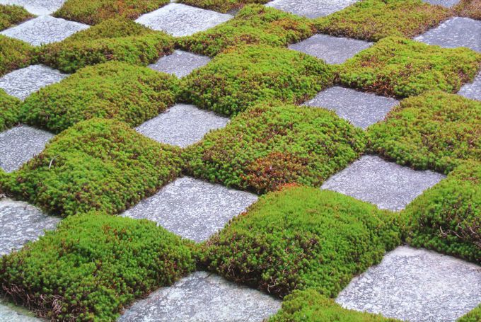 9�D�������^���s�s