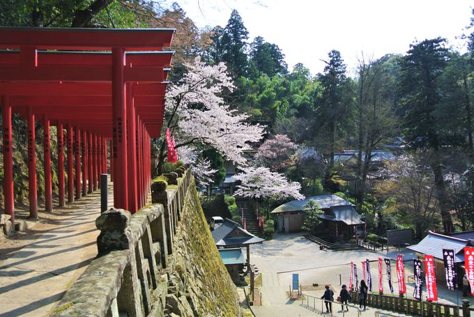 �܂��܂����ǂ��낪�����ς�