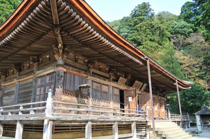 �܂��܂����ǂ��낪�����ς�