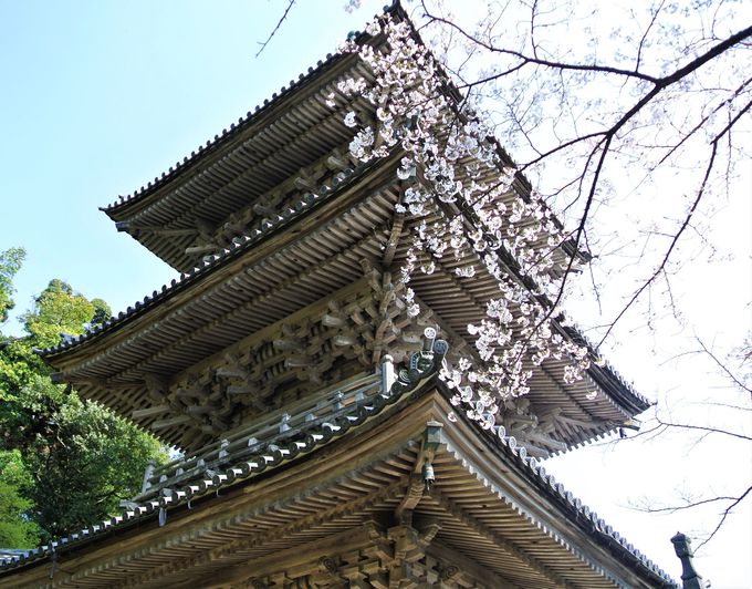 ���ƎO�d�̓��̔������͏G��