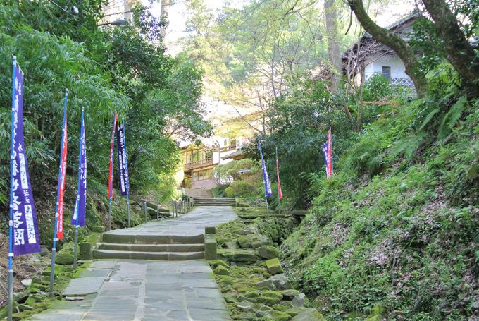 �R�A�̗R�����������@