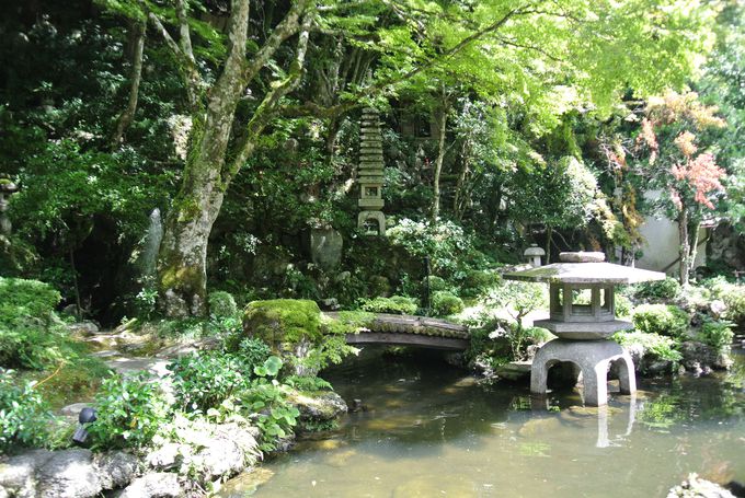 緑が美しい楽山荘庭園