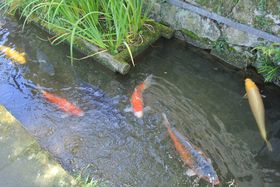 DɌjuaʂvől̒uyI̋LTlC